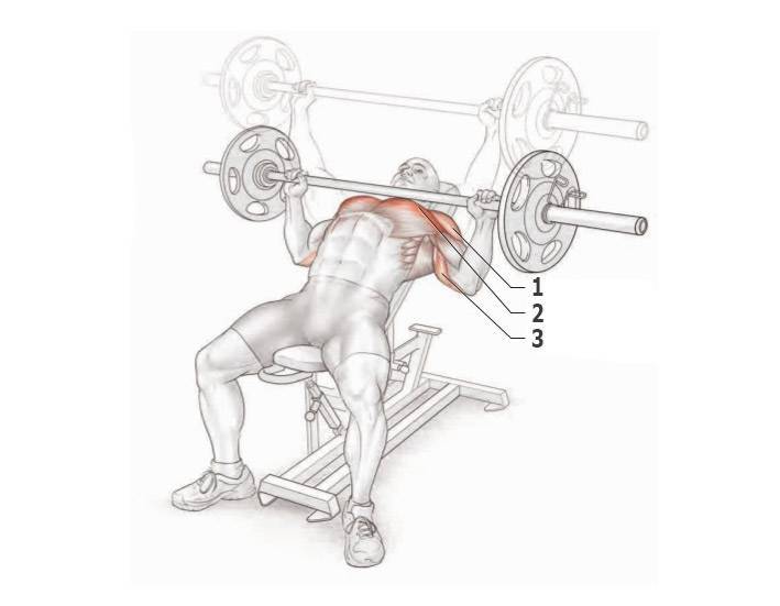 Жим гантелей лежа на полу