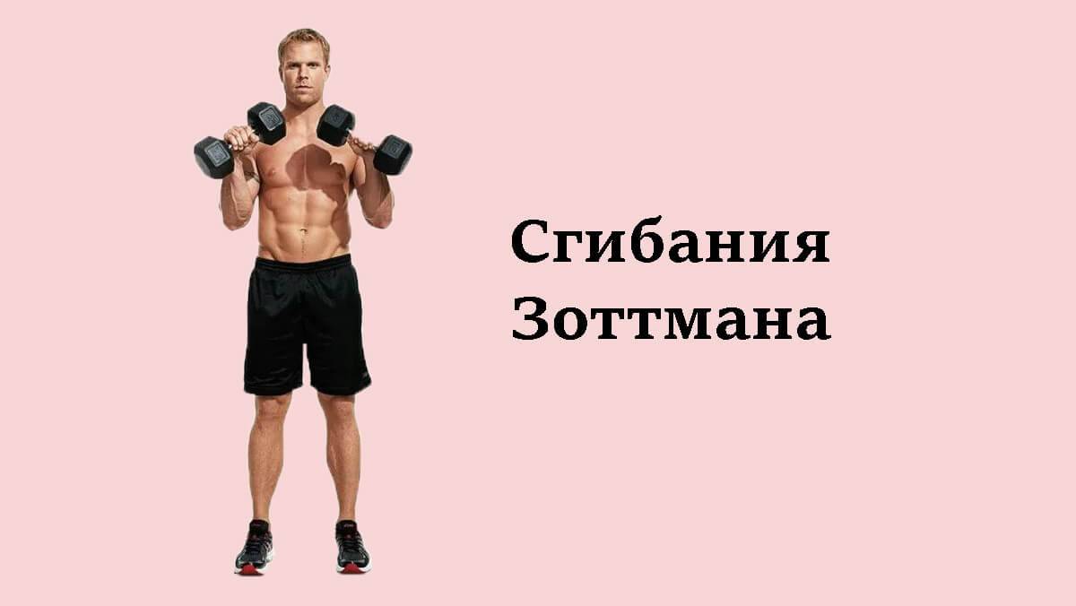 Идеальные плечи со «сгибаниями зоттмана»! сгибания зоттмана: техника и советы упражнение зоттмана или обратный подъем штанги.