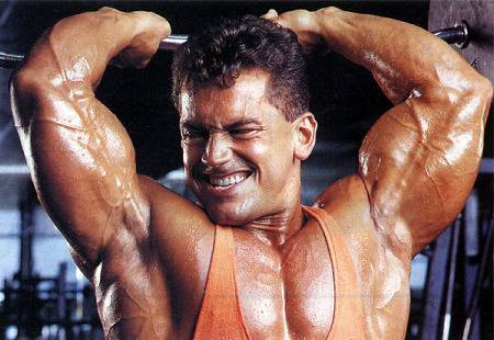 Ли лабрада в спорте и жизни: прошлые и сегодняшние заслуги