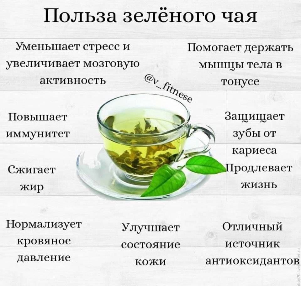 Диета Зеленый Чай На Молоке