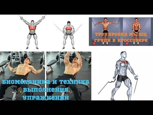 Сведение рук в кроссовере стоя