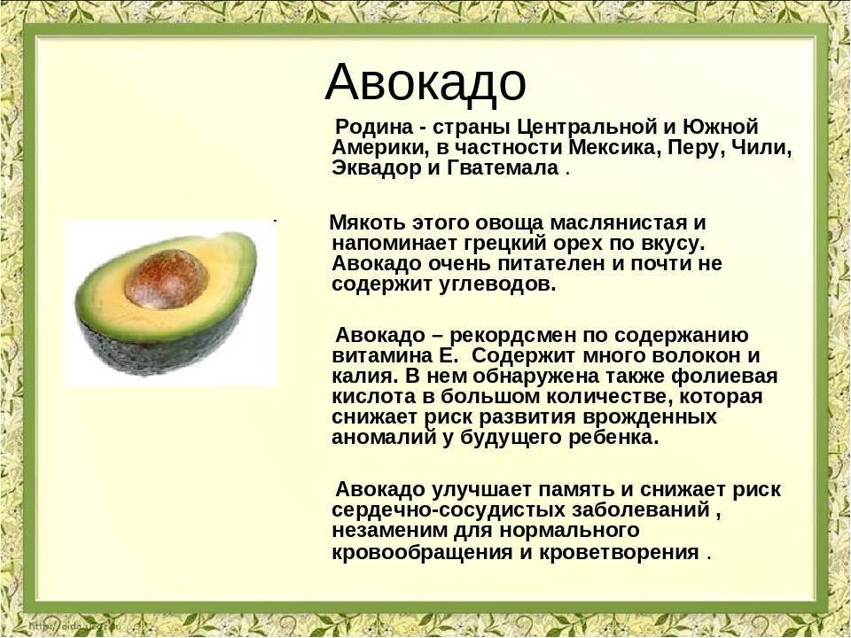 Авокадо Для Снижения Веса