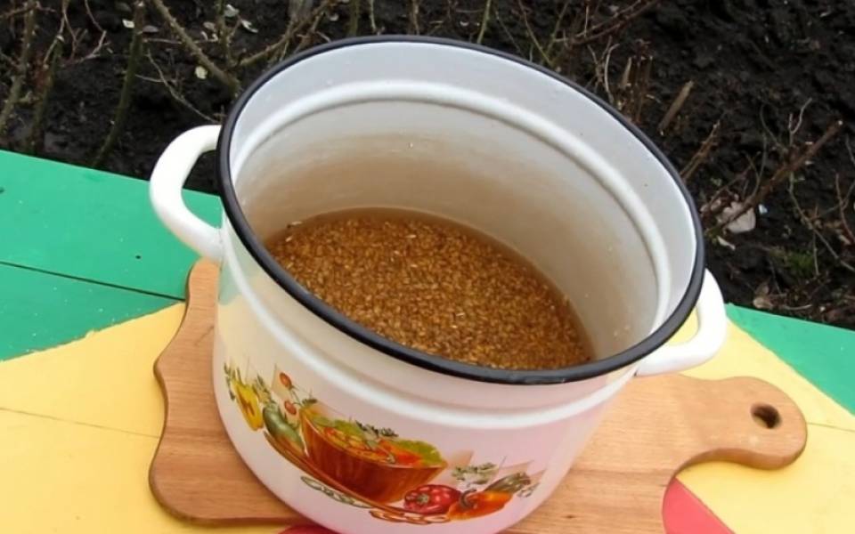 Рецепт самогона из пшеницы… а ещё из неё хлеб готовят.