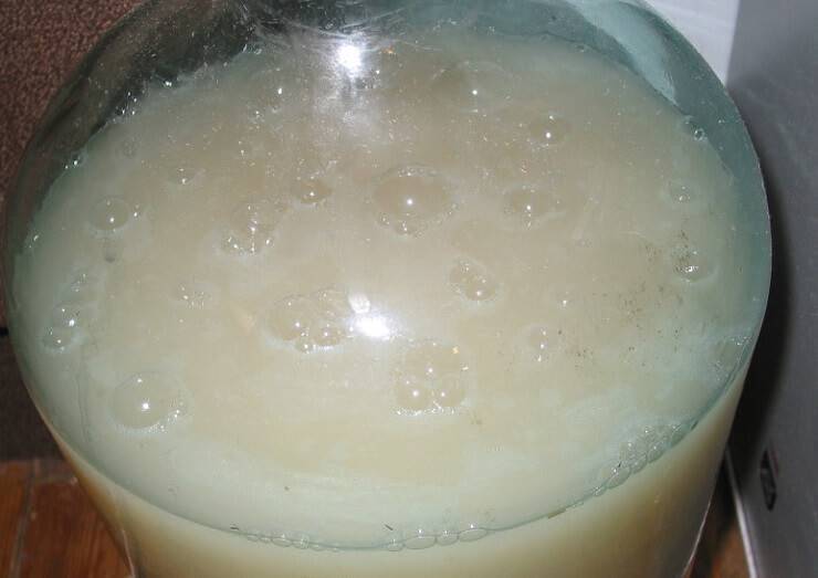 Брага на сухих дрожжах: как выбрать и поставить брагу + нюансы