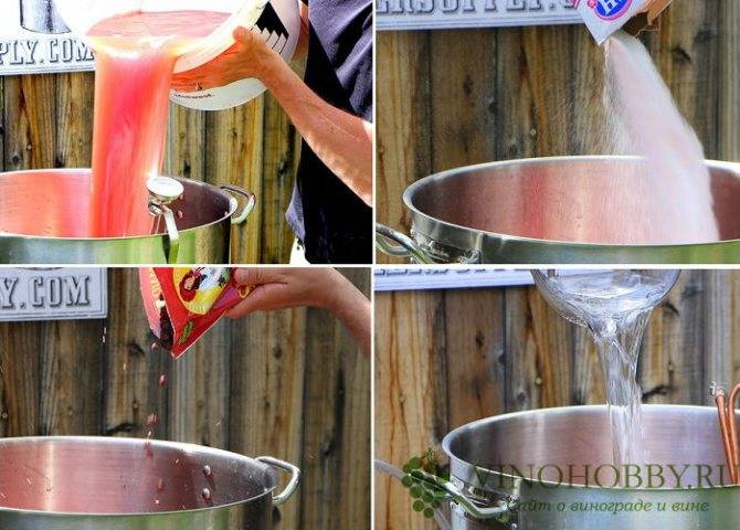 Брага и самогон из абрикосов: 5 рецептов в домашних условиях