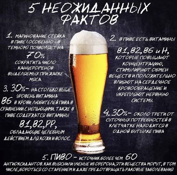 Пиво radeberger: история, особенности, как и с чем пить + как отличить подделку