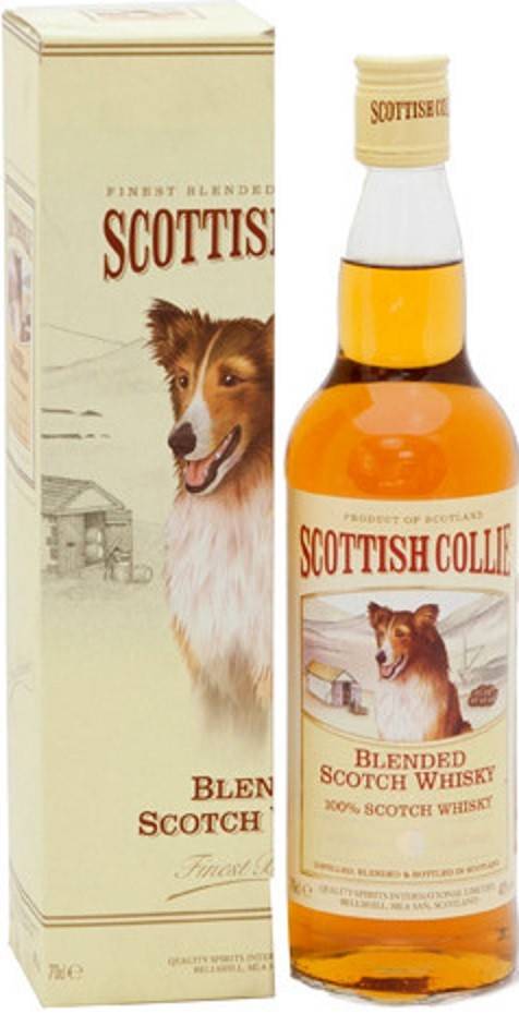 Виски scottish collie (скоттиш колли) и его особенности