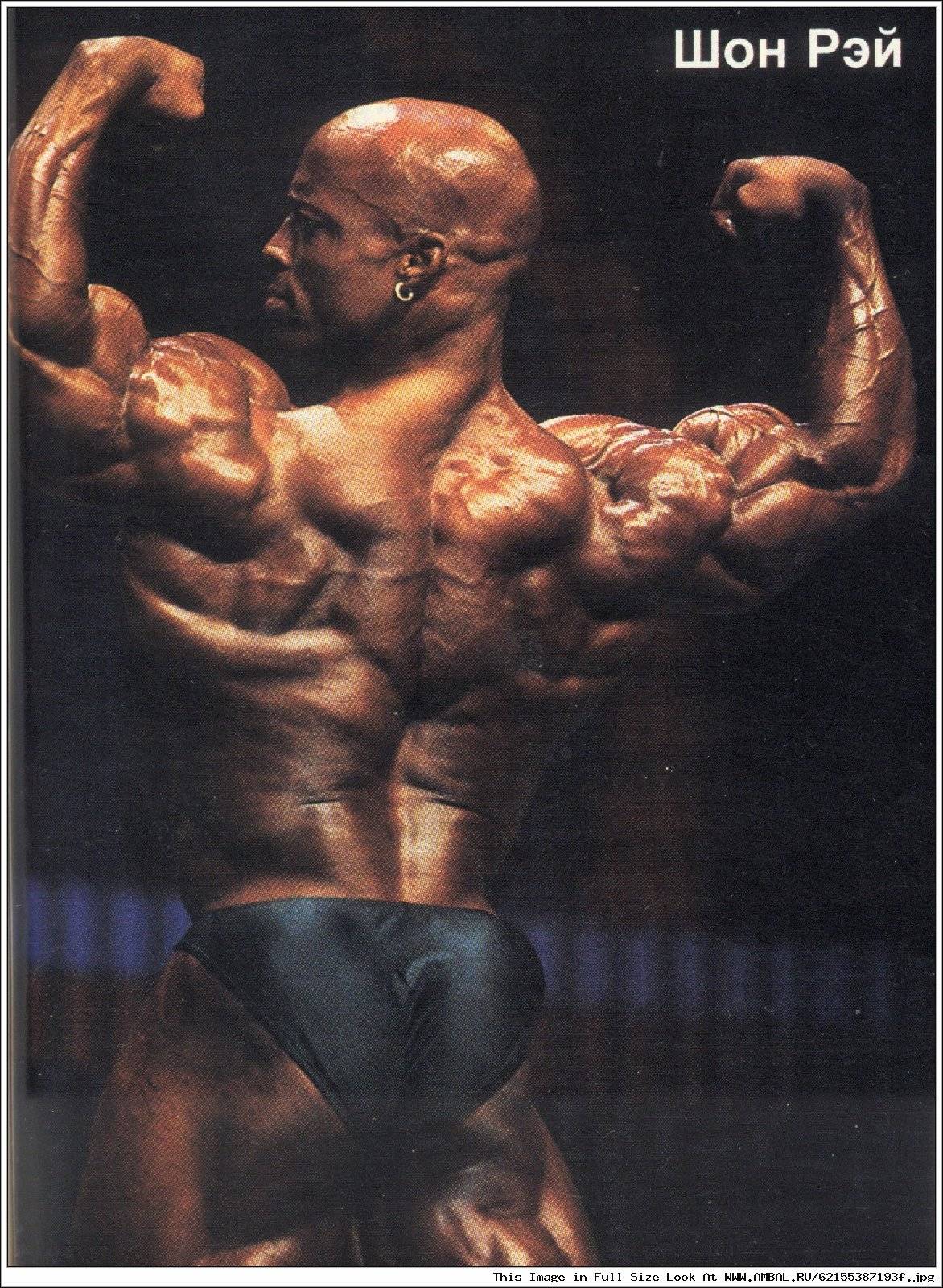 ✅ шон рей биография. шон рей. история успеха, программа тренировок. шон рэй биография - elpaso-antibar.ru