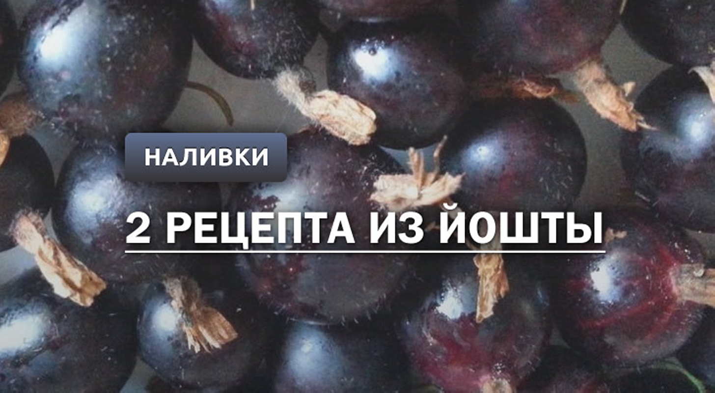 Наливка на водке — рецепты на поварёнок.ру