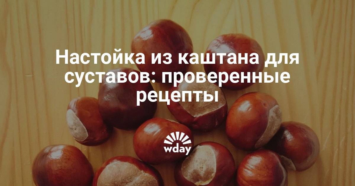 Настойка каштана на водке: применение и рецепт - твой суставчик