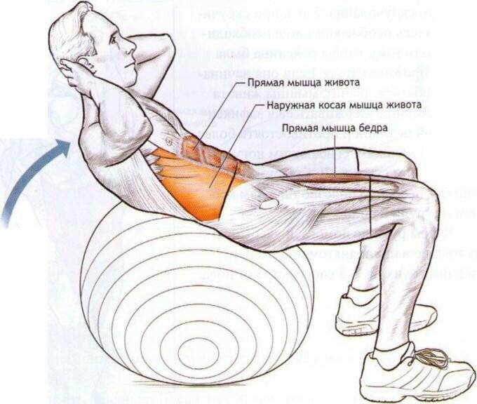 Боковые наклоны с гантелями: техника выполнения, какие мышцы работают