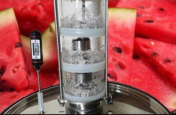 Самогон из арбуза