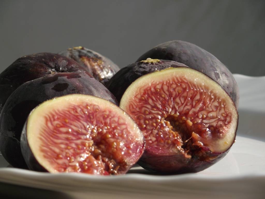 Горькие настойки: 13 рецептов в домашних условиях