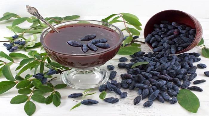 Готовим ликёр из жимолости