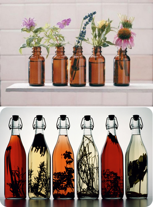 Настойки на спирту — рецепты на поварёнок.ру