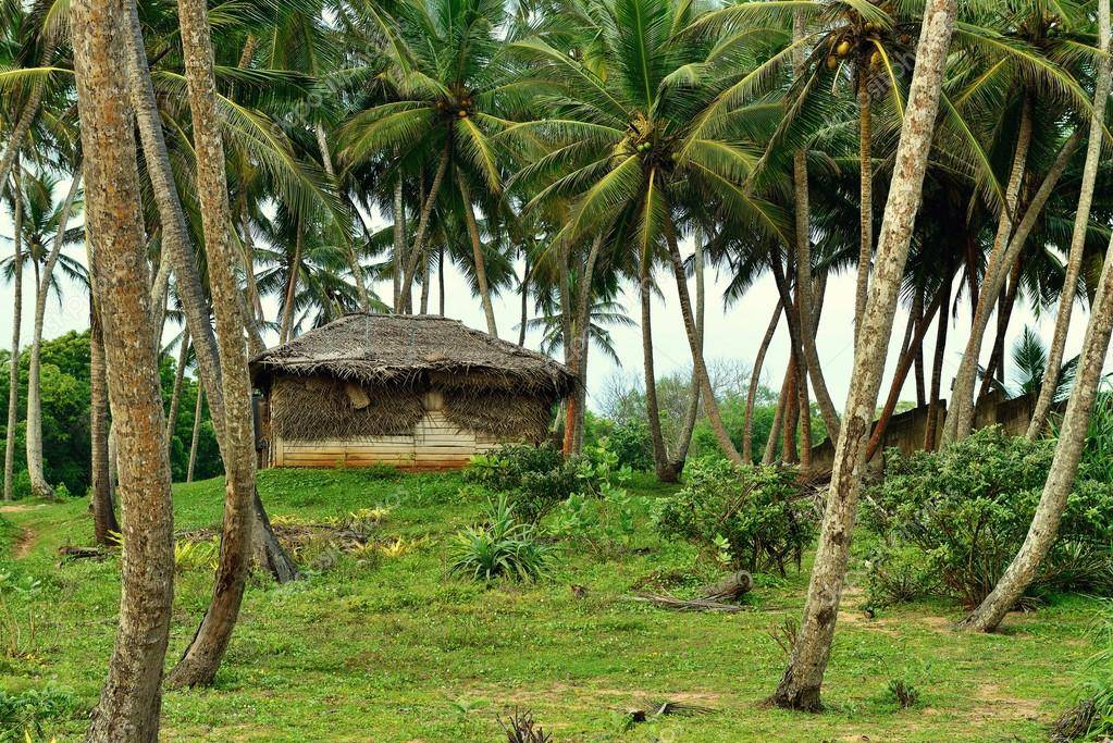 Как камбоджийские мастера строят фантастические объекты, используя примитивные инструменты