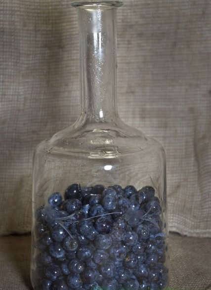 Вино, ликер, настойка из одуванчиков: 3 рецепта в домашних условиях