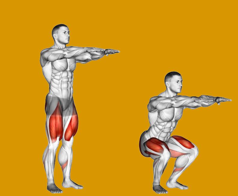 Приседания с выпрыгиванием: польза, какие мышцы работают и техника выполнения