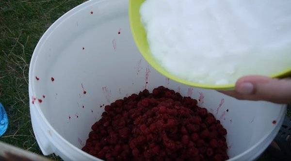 Наливка из малины: 11 рецептов в домашних условиях