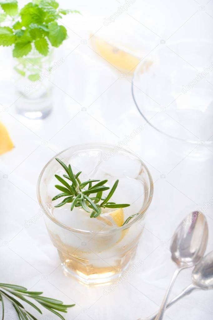 Алкогольный коктейль «джин физ»: рецепт с фото