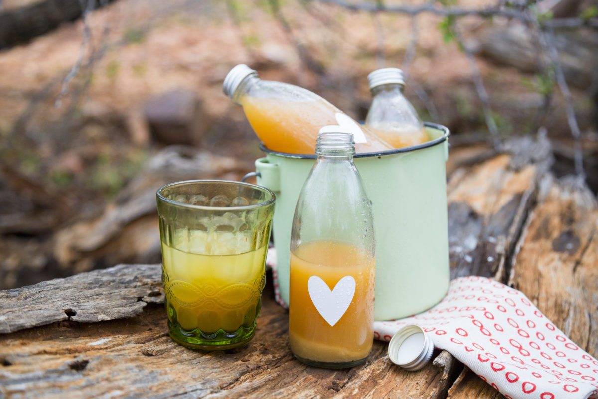 Имбирный эль (ginger ale) — 5 рецептов приготовления в домашних условиях - rus-womens