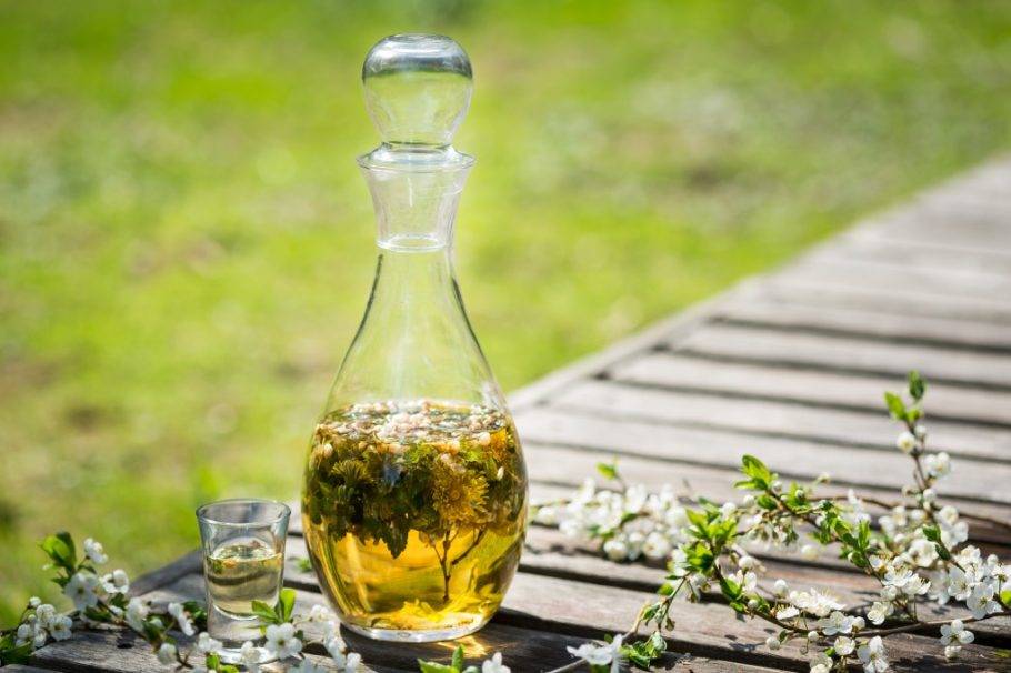 Настойка каштана: 5 рецептов в домашних условиях