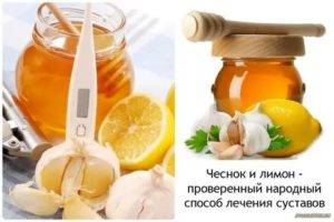 Настойки для сосудов головного мозга: обзор отваров для очищения артерий, а также от сужения и спазмов