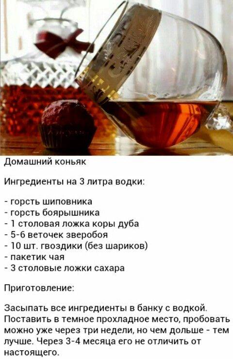 Коньяк из спирта: условия и рецепты приготовления самодельного домашнего алкогольного напитка