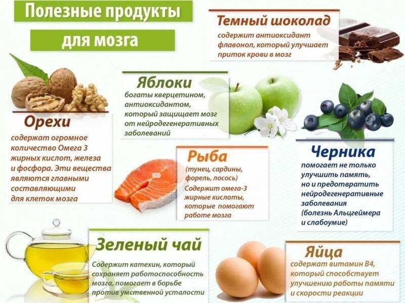 5 фактов о пользе меда для головного мозга и его влиянии на сосуды