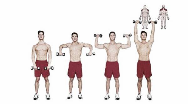 Румынская тяга с гантелями: техника выполнения, какие мышцы работают