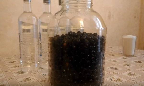 Наливка из смородины