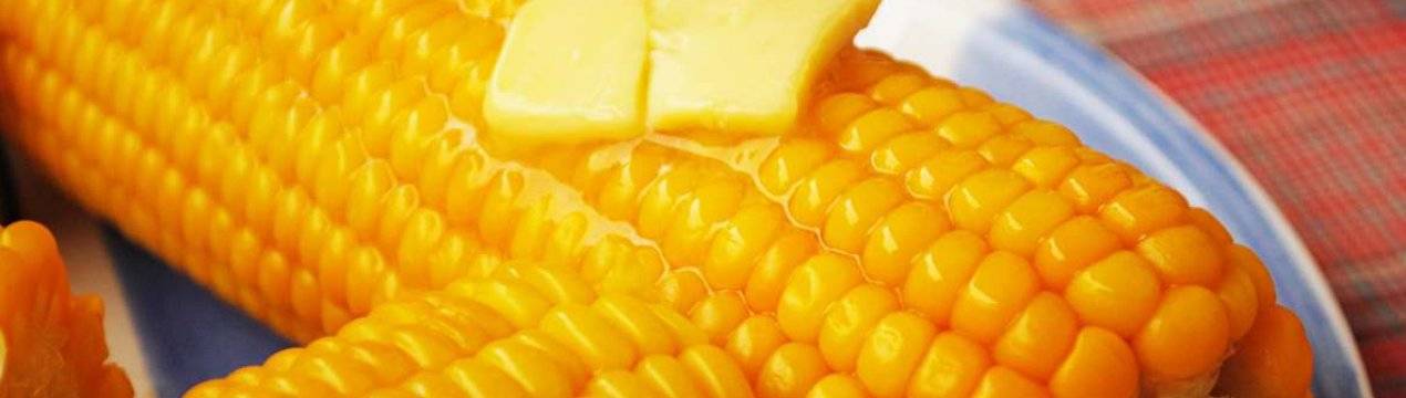 Кукуруза: польза и вред, калорийность, как варить