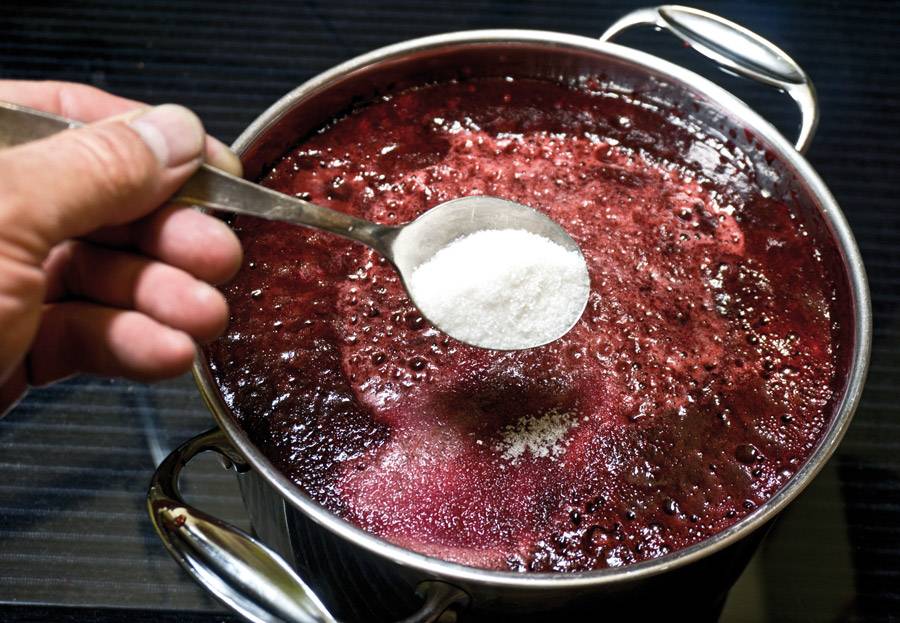 Рецепт приготовления вина из черники в домашних условиях