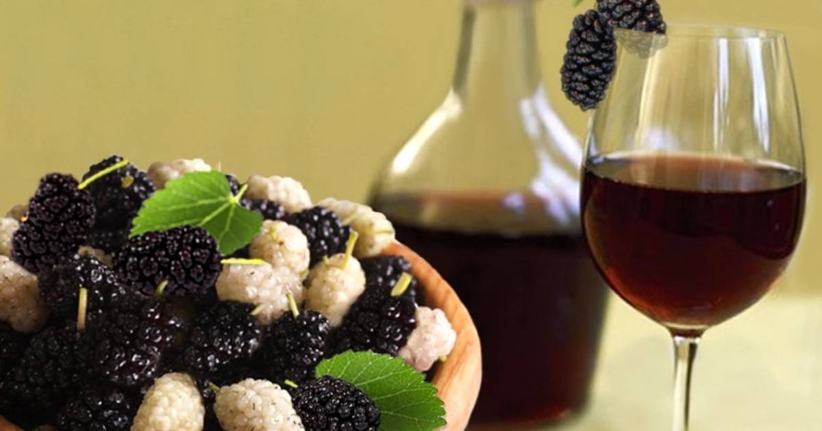 Тутовая армянская водка – рецепт самогона из шелковицы