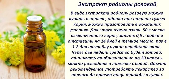 Настойка на сосновых шишках: 5 рецептов + свойства и применение