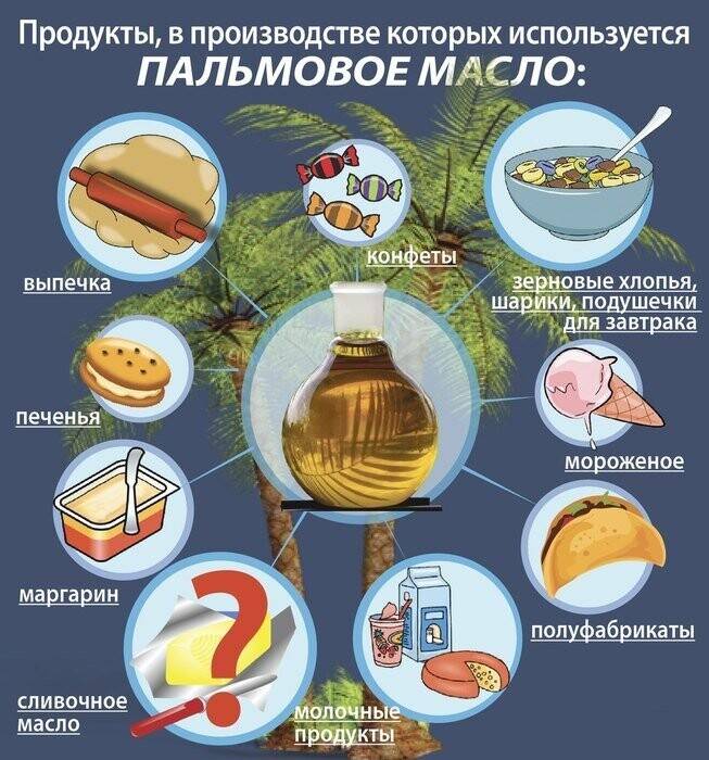 Пальмового масла влияние на организм человека. польза пальмового масла | здоровье человека