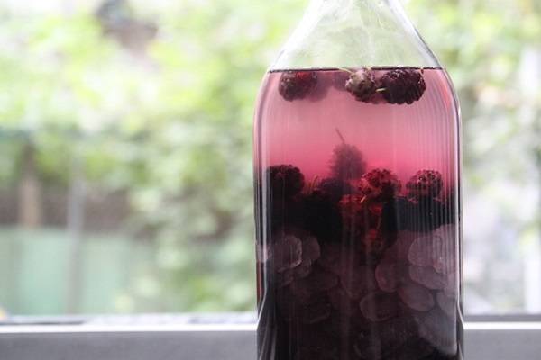 Наливка из шелковицы (тутовника): 3 рецепта в домашних условиях