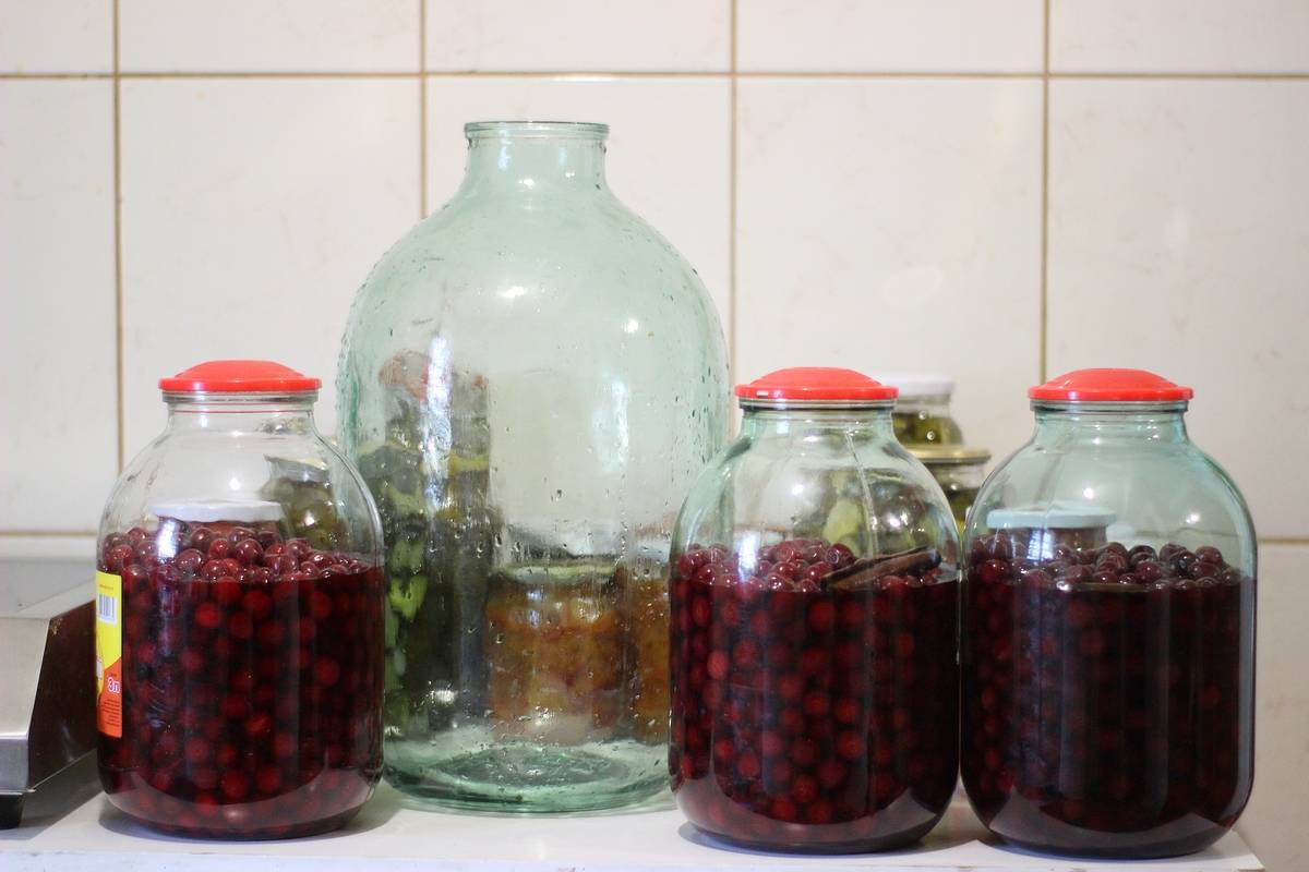 Настойки на водке — лучшие рецепты - полонсил.ру - социальная сеть здоровья - медиаплатформа миртесен