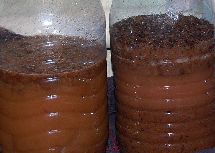 Самогон из варенья: постановка браги, рецепты в домашних условиях