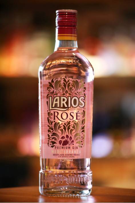 Коньяк camus: история, специфика, обзор видов и вкуса + интересные факты