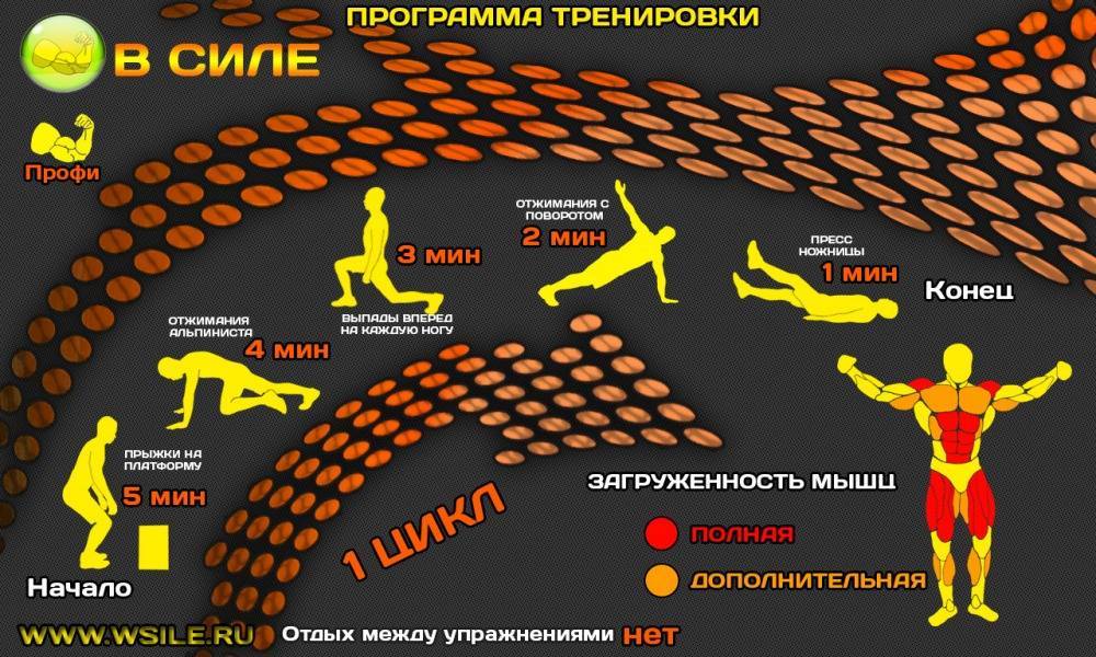 3 идеальные программы тренировок для девушек в тренажёрном зале - лайфхакер