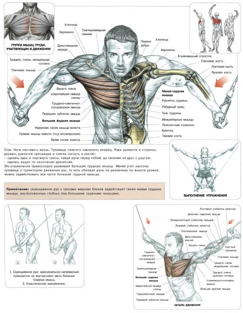 Сведение рук в кроссовере vsport-turnik.ru - все о тренировках