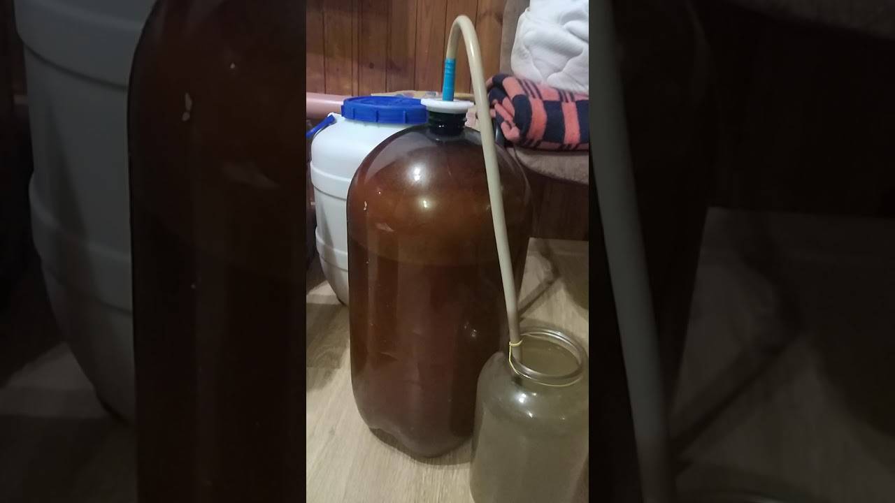 Брага из сахара и дрожжей: тонкости приготовления и пропорции