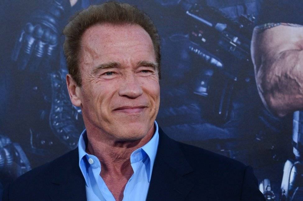 Диета арнольда шварценеггера — культуриста, опередившего время. список продуктов, одобренных арнольдом