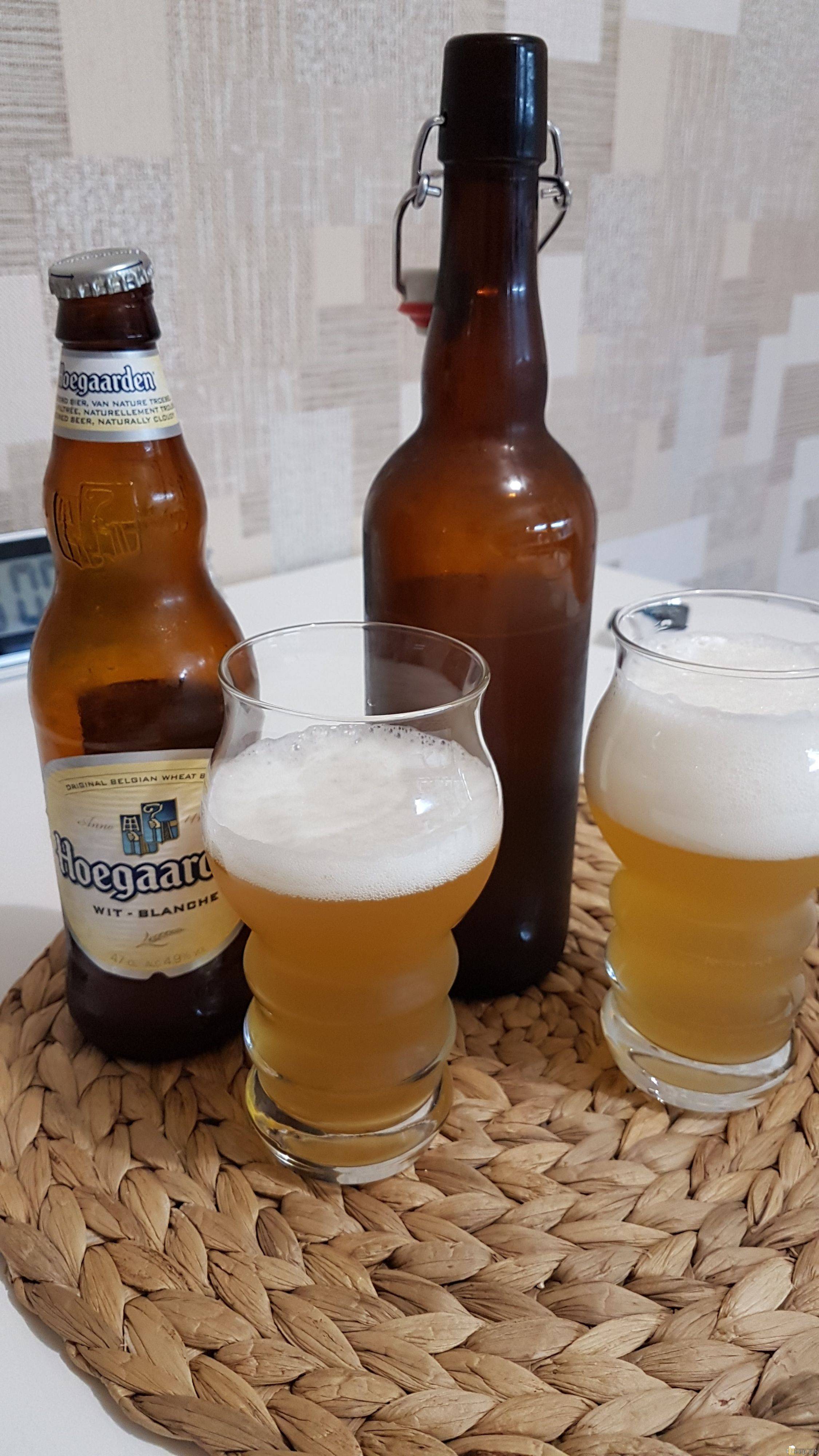 Простые рецепты приготовления пива в домашних условиях