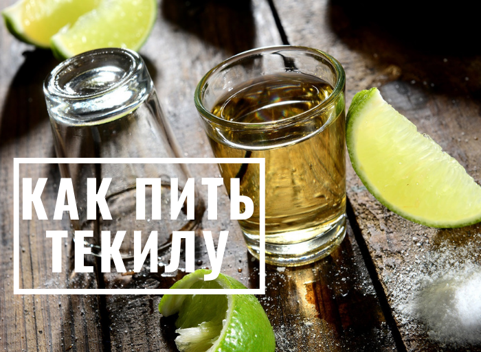Почему после текилы тяжёлое похмелье: состав напитка, как пить?
