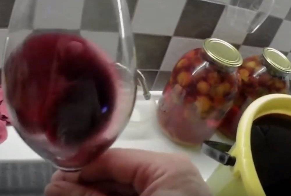 Вино из рябины черноплодной в домашних условиях - 5 простых рецептов с фото пошагово