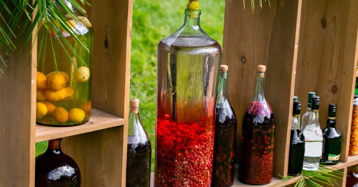 Мятная настойка: 5 рецептов в домашних условиях