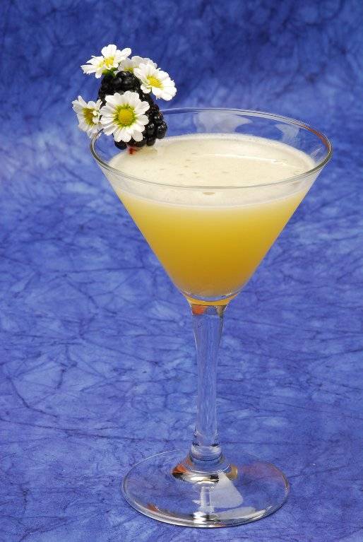 Коктейли с соком: популярные, крепкие и легкие, алкогольные, 40 пошаговых рецептов с фото