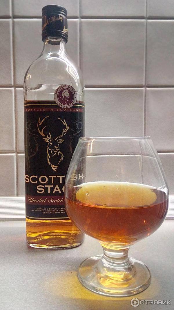 Мидори: обзор дынного ликера + 9 рецептов коктейлей